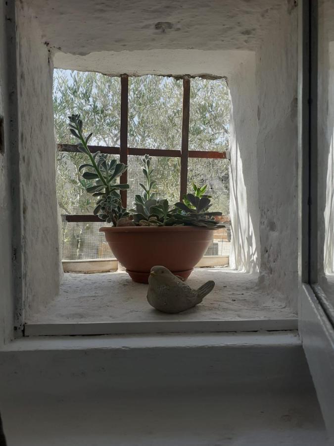 La Mia Dimora Villa Cocolicchio Eksteriør billede
